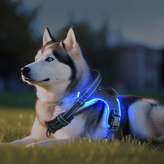 Arnés LED ergonómico
